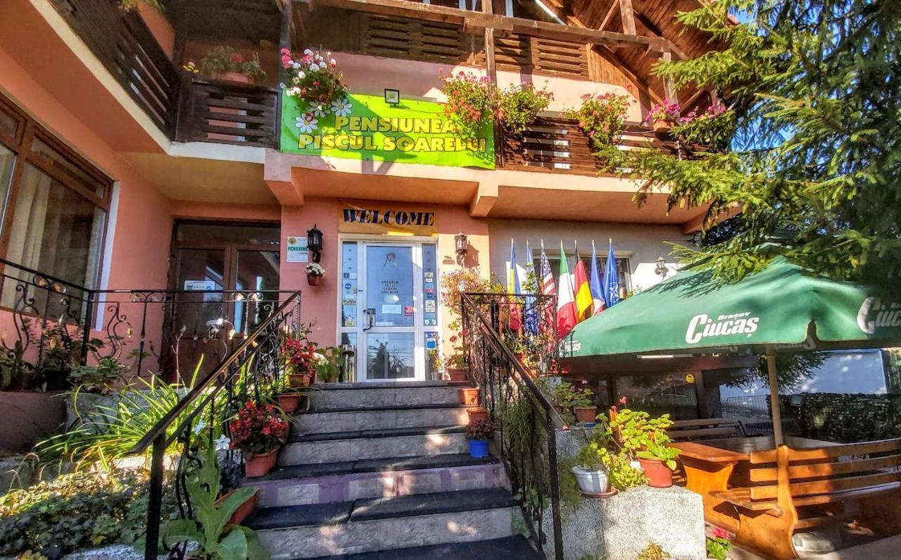 Pensiunea Agroturistica Piscul Soarelui Кымпулунг Экстерьер фото