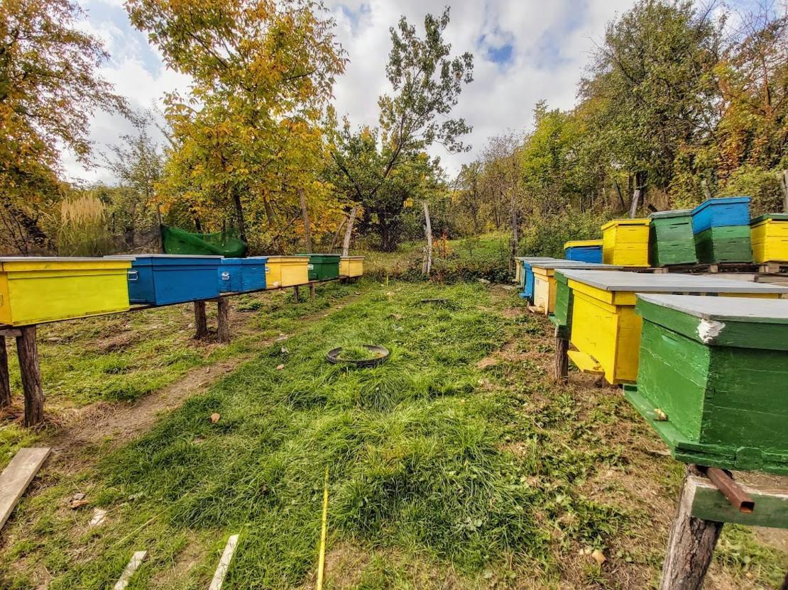 Pensiunea Agroturistica Piscul Soarelui Кымпулунг Экстерьер фото