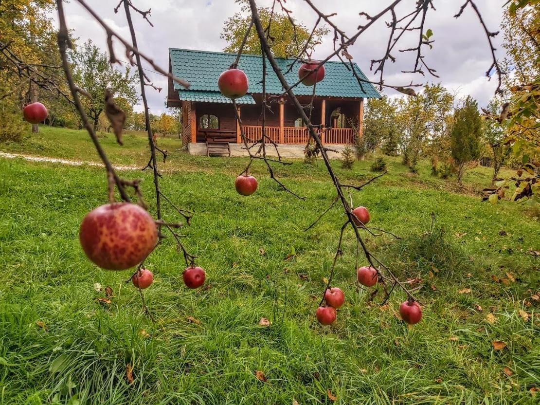 Pensiunea Agroturistica Piscul Soarelui Кымпулунг Экстерьер фото