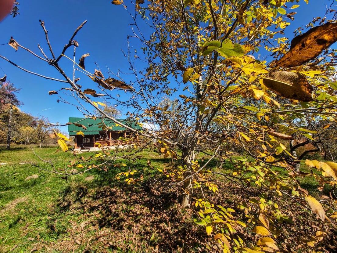 Pensiunea Agroturistica Piscul Soarelui Кымпулунг Экстерьер фото