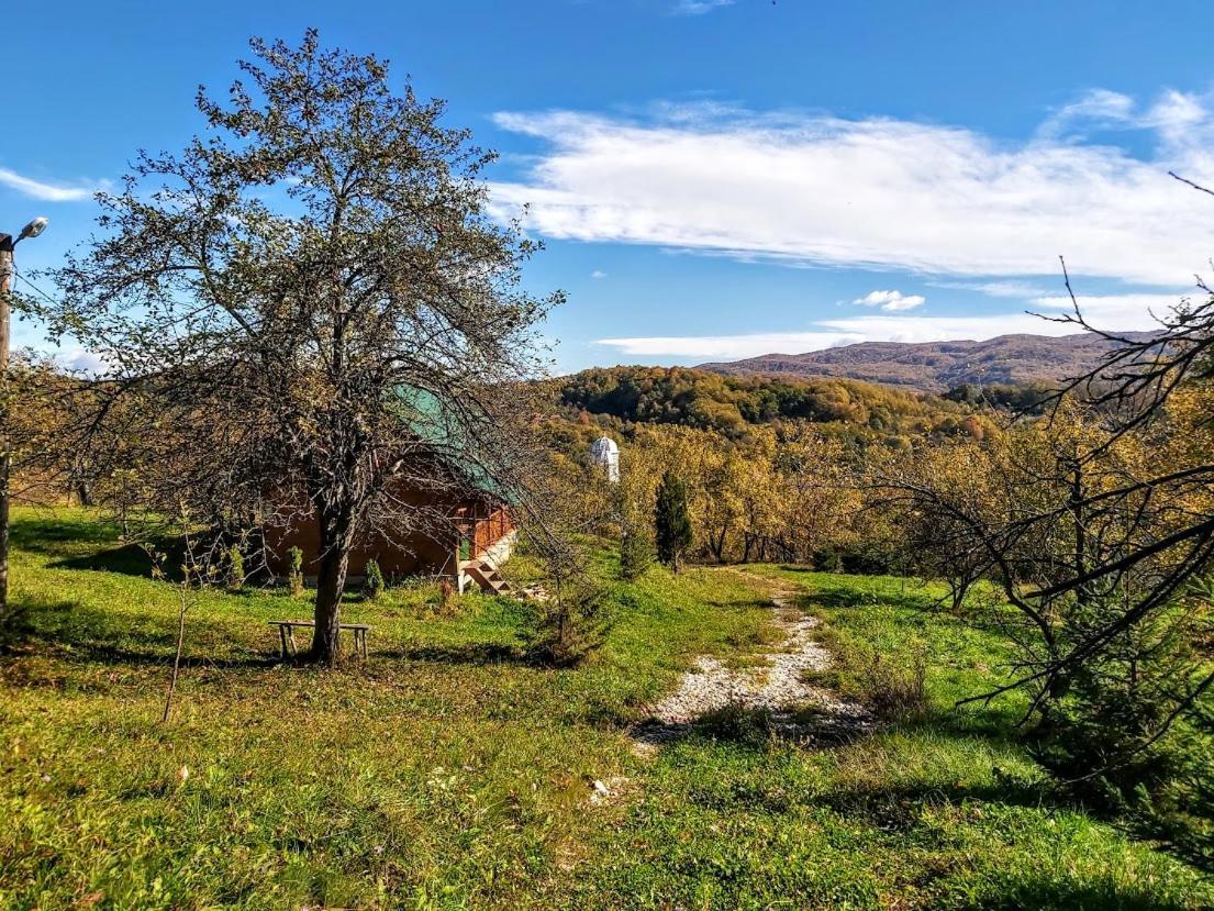 Pensiunea Agroturistica Piscul Soarelui Кымпулунг Экстерьер фото